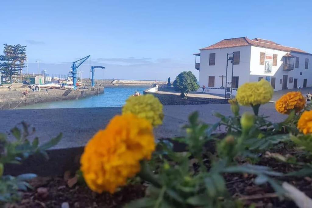 Centrico Y Encantador Estudio En Puerto De La Cruz Luaran gambar