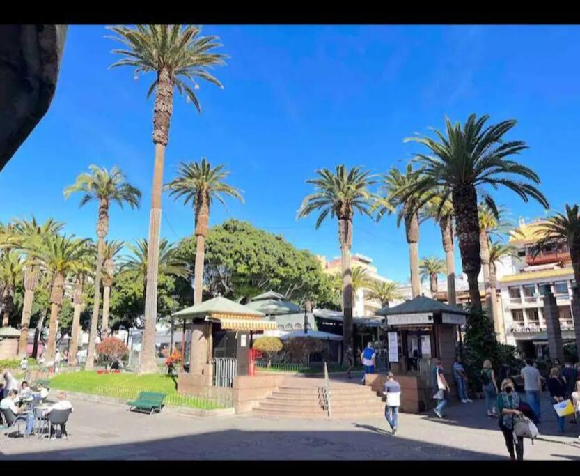 Centrico Y Encantador Estudio En Puerto De La Cruz Luaran gambar
